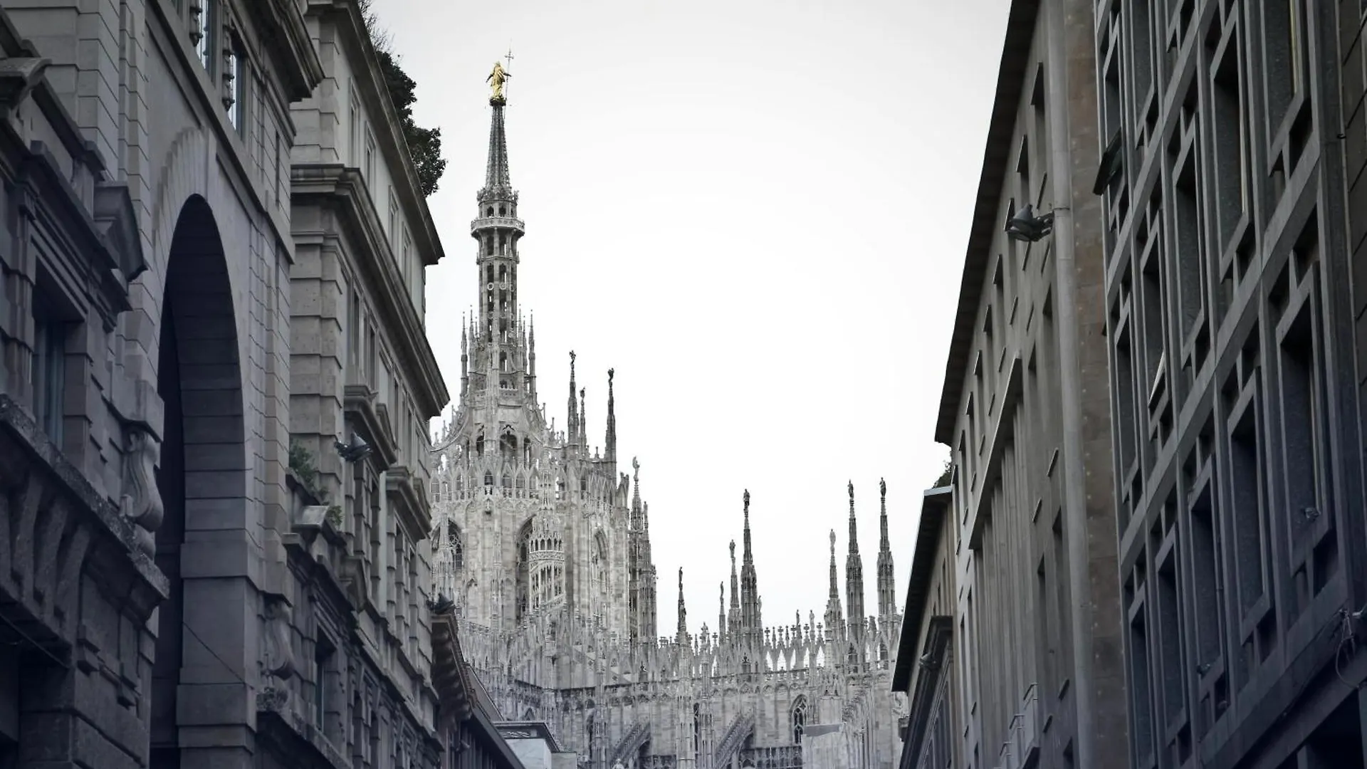 The White Jungle - San Babila Attic Apartment Milan